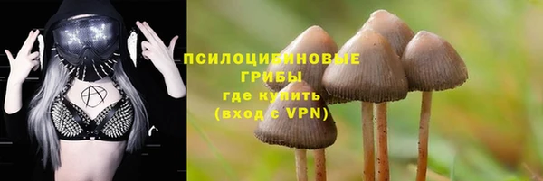 ПСИЛОЦИБИНОВЫЕ ГРИБЫ Армянск