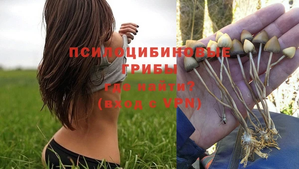 ПСИЛОЦИБИНОВЫЕ ГРИБЫ Армянск